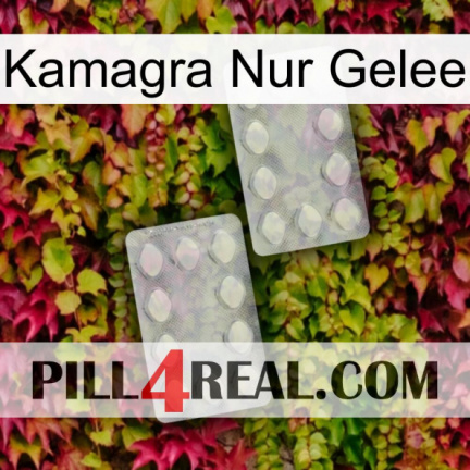 Kamagra Only Jelly 17